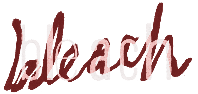 bleach-title